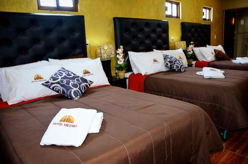 Hotel Milenio Nanacamilpa Tlaxcala in Nanacamilpa, Mexico
