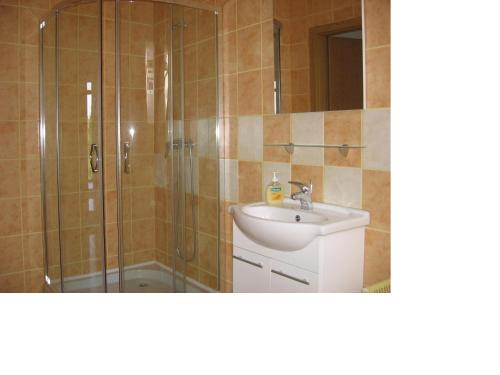 ห้องน้ำ, Bodzavirag Apartman in เฮกกีโค่