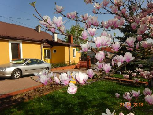 Agroturystyka Przy Świerku - Hotel - Chęciny