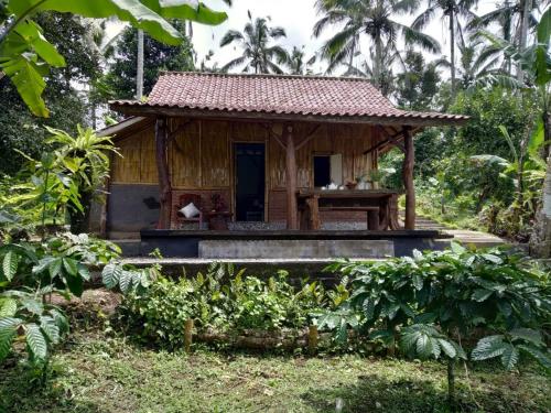 Bali mountain forest cabin Bali