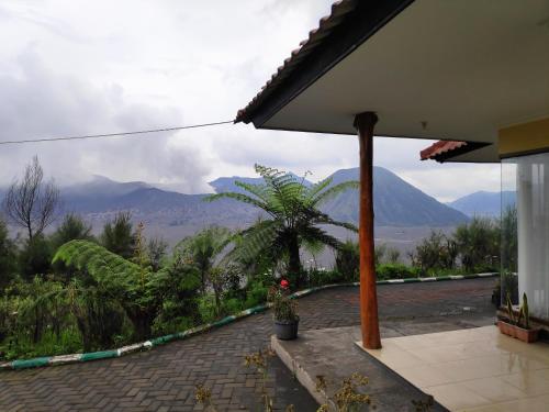 . Guesthouse Gunung Bromo