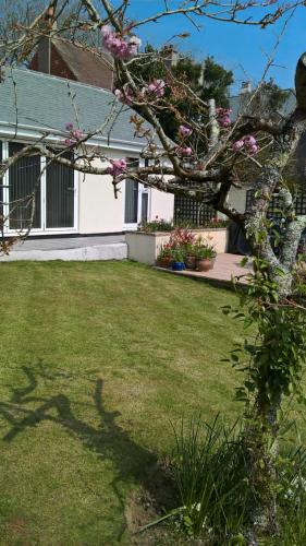 Chy Lowarth, Penzance (fotografie 10)