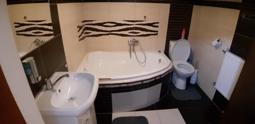 Fürdőszoba, apartman ve mlejne in Nova Bystrice