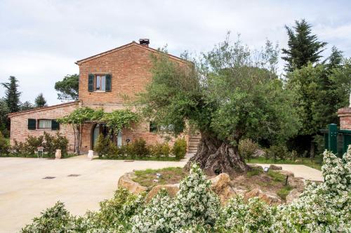  Podere Casanova & Wine Experience - Montepulciano in Acquaviva