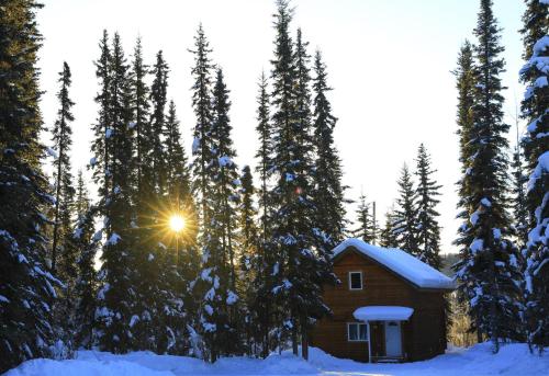 The Cabin in the Woods 3 森林小屋 3
