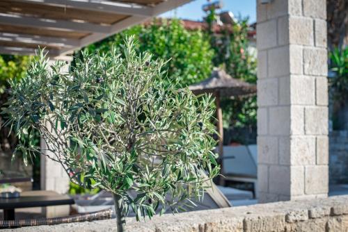 Stamos Hotel in Afytos
