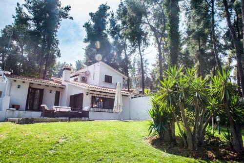  Evergreen Villa in Sani woodland estate in Sani Beach