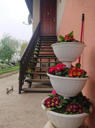  Ilcsi Vendégház in Zalatárnok