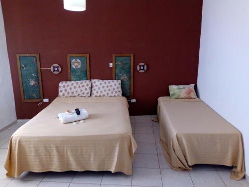 Petit Hotel Panambi in Puerto Iguazu