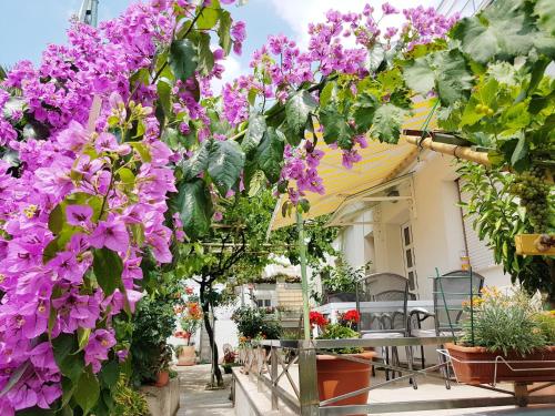  Apartments in Pula/Istrien 11378, Pension in Veli Vrh