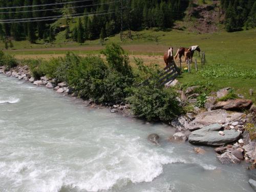Riepleralm in ماتريى إن أوست تريول