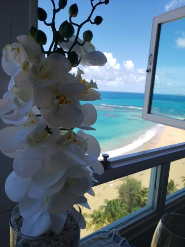 Breezy beachfront property with view of paradise - image 5