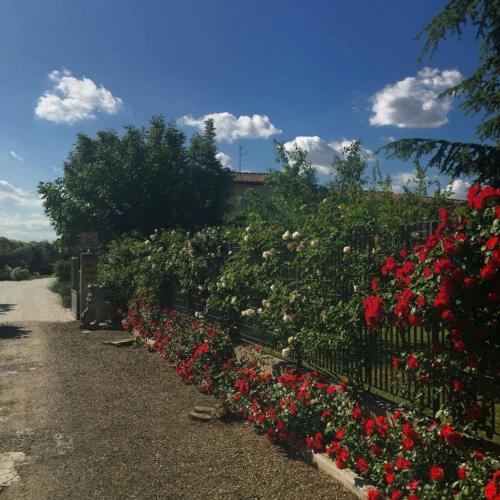 Tenuta La Rosa B&B in 卡倫扎諾