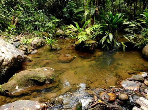 La Luciole Ecolodge