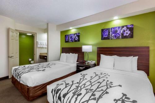 Sleep Inn near Busch Gardens - USF