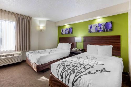 Sleep Inn near Busch Gardens - USF