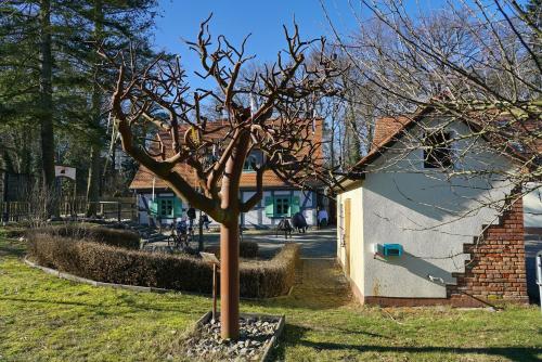 Apartment 5 - Gourmetzimmer 1.2km von Bestensee entfernt