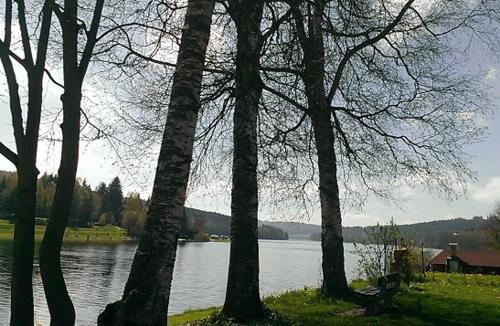 Apartmany u Lipno