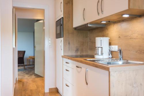 One-Bedroom Apartment image 9