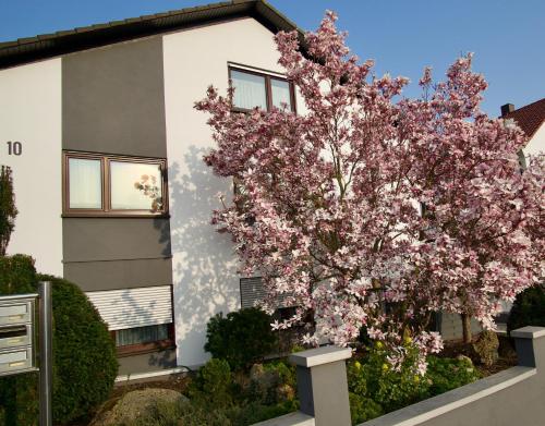 A szálláshely kívülről, Ferienwohnung Charlotte in Weisenheim am Sand