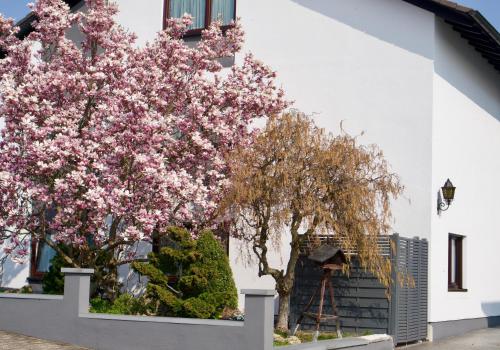A szálláshely kívülről, Ferienwohnung Charlotte in Weisenheim am Sand