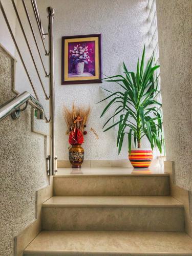 ทางเข้า, Rooms Deny in มอส์ทาร์