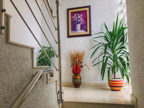 ทางเข้า, Rooms Deny in มอส์ทาร์