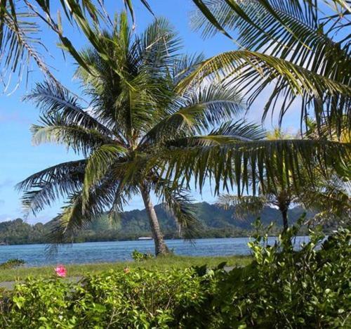 . Pacific Treelodge Resort