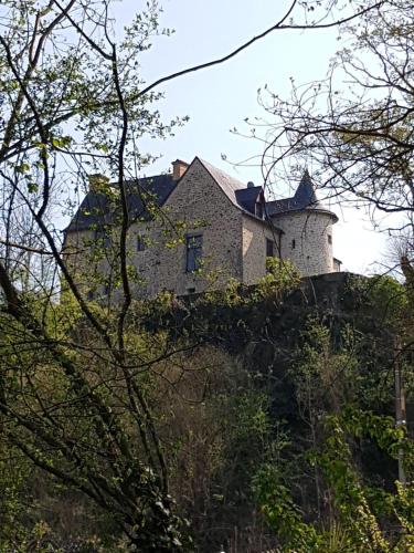 B&B Changé - Manoir de la coudre - Bed and Breakfast Changé