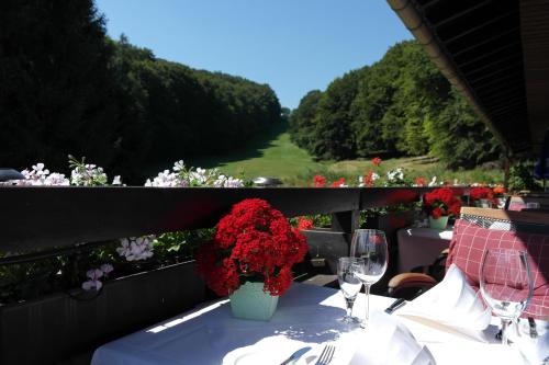 陽台/露台, 溫德里奇特蘭德酒店 (Landhotel Windlicht) in 克龍巴赫