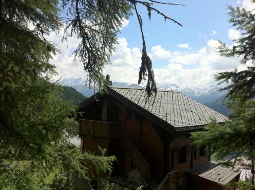 Chalet Tannenduft - image 8
