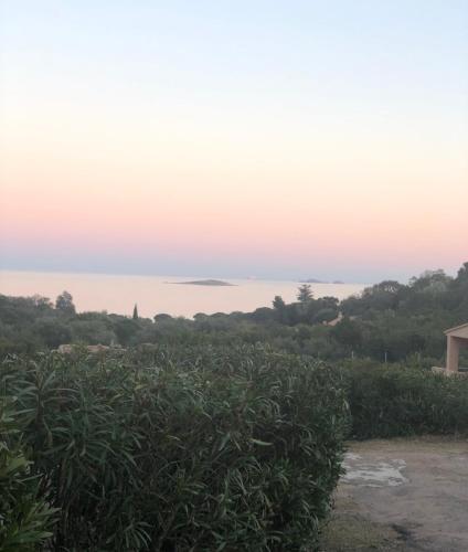 Résidence U LATONU - Palombaggia - image 12