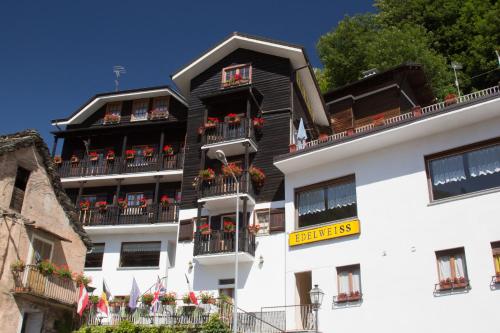 Hotel Edelweiss 2