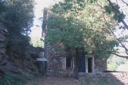 Au Gîte Musicien - Location saisonnière - Le Vigan