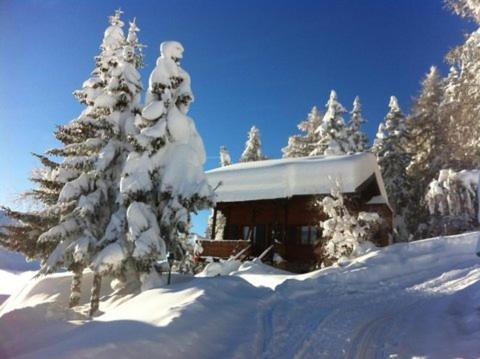 Chalet Tannenduft - image 4