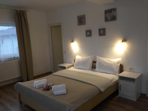 Top Style Villa - Hotel - Bragadiru