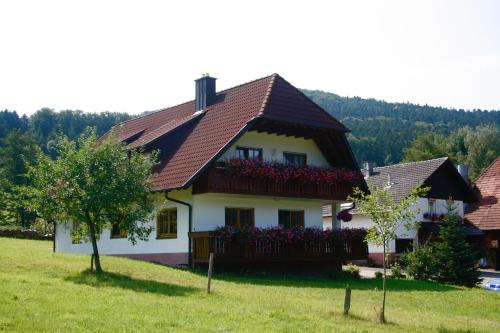 Ferienwohnung in Seelbach, Deutschland
