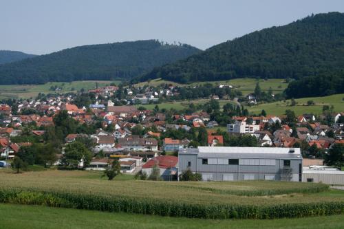 Ferienwohnung in Seelbach, Deutschland