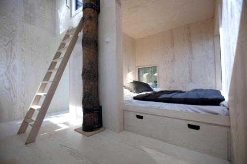 Treehotel - image 3