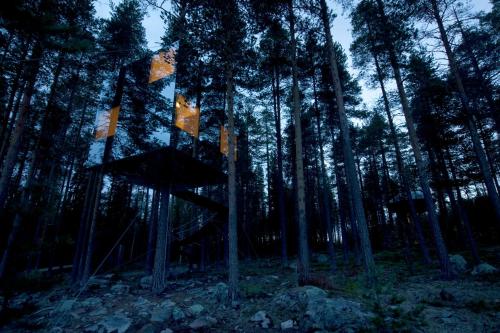 Treehotel - image 7