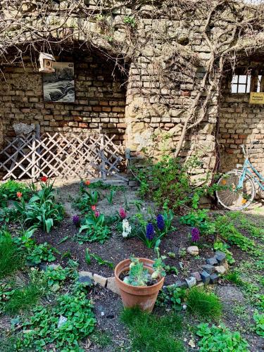 House With Courtyard & Parking Close To Stadtpark, Vídeň (fotografie 3)