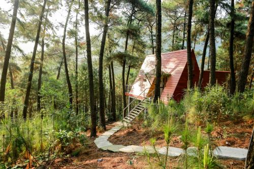 Cat Ba Eco Lodge, Cát Bà