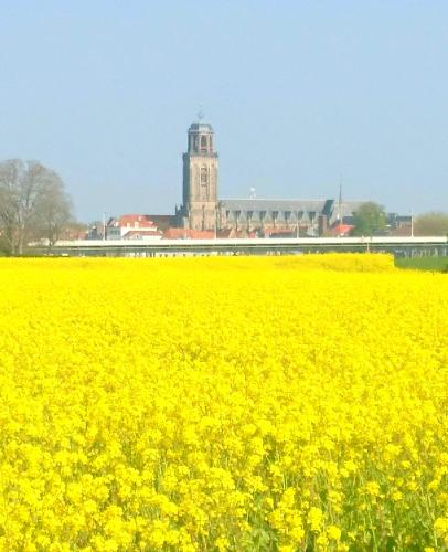 Deventer Heritage en Boutique B&B museumhuis Huize "De Worp"