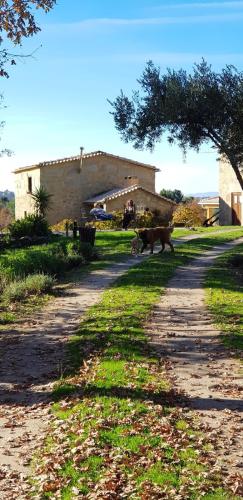  Quinta Damigo, Seia bei Cativelos