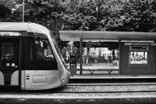 Residence Leopoldo - image 7