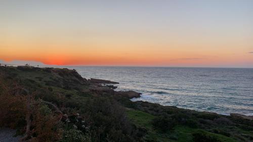 Flamingo City Lux - image 8