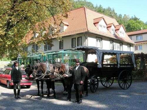 Waldhotel Linzmühle