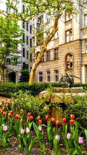 Turul Apartment Budapest, Budapešť (fotografie 8)
