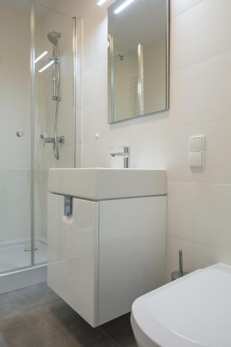 One-Bedroom Apartment image 5