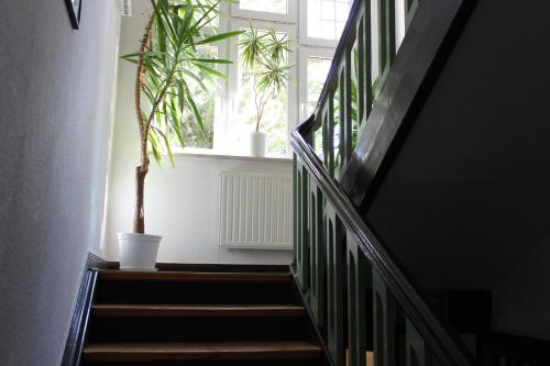 Apartment Nr. 6 - Split Level image 9
